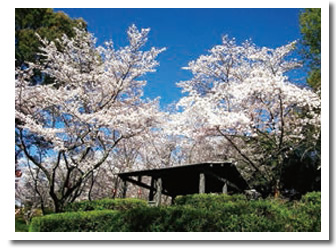 蛇ヶ谷公園